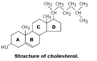 structure of cholesterol.
