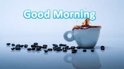 good morning good morning