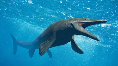 Basilosaurus-cetaceo-que-viveu-nos-mares-a-muito-tempo-atras