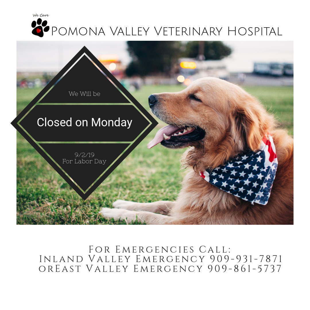 Pomona Valley Veterinary Hospital