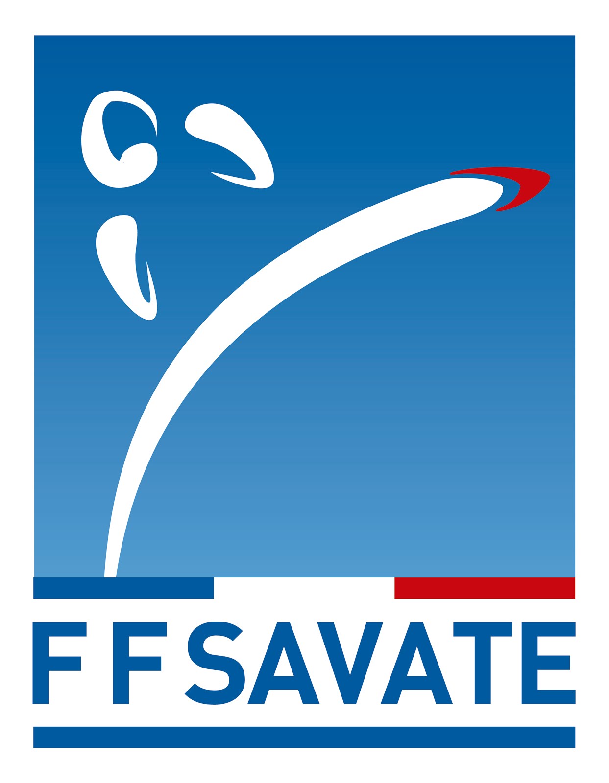 FEDERAÇÃO FRANCESA DE SAVATE