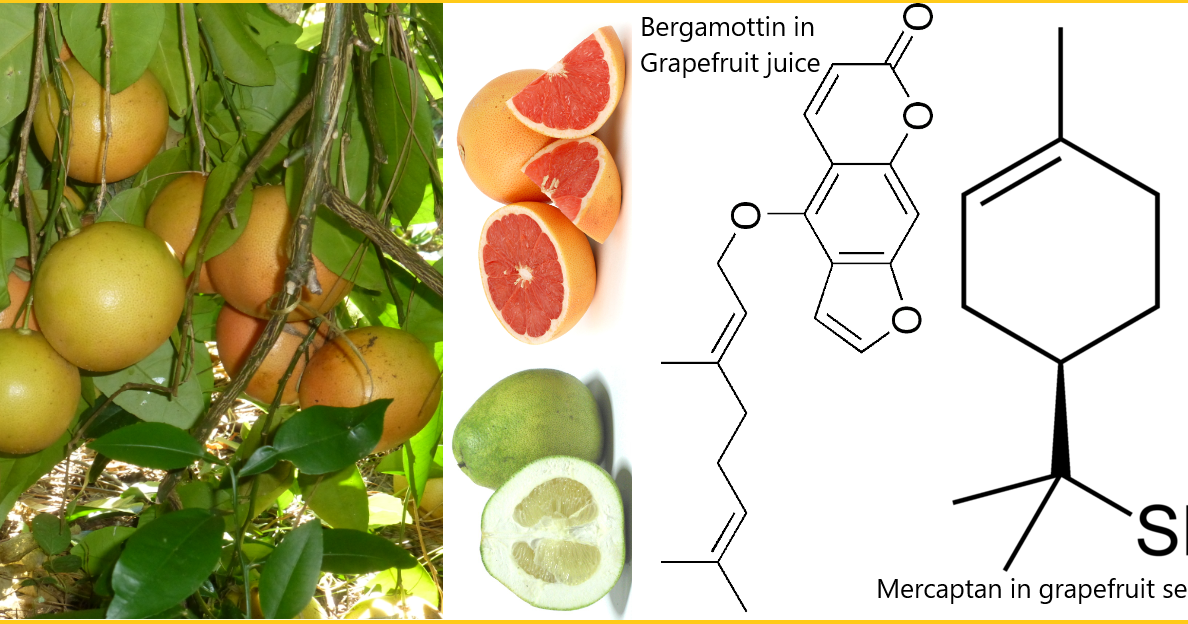 Nutrition & Natural Medicine News Why and how HBPtreating drug