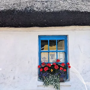 Window with red flowers on a thatched cottage in Ardmore Ireland