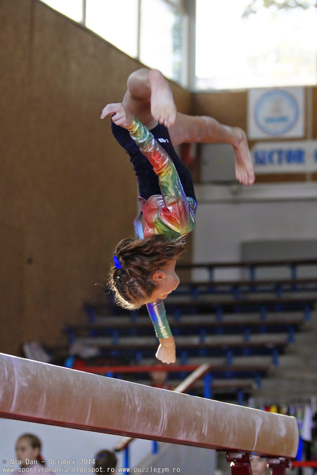 Sporty Romania: 2014 - October 24-25 - Artistic Gymnastics - Romanian ...
