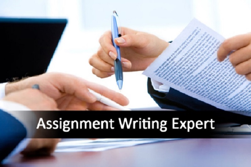 Professional writing service image