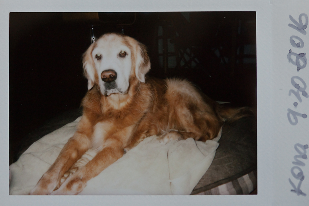 Fuji Instax - 9/30/2016