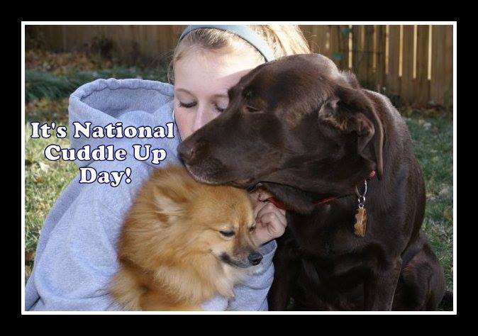 National Cuddle Up Day Wishes Pics