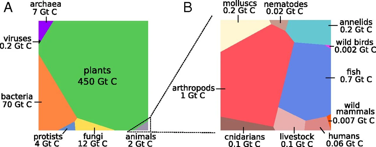 Estimating global biomass