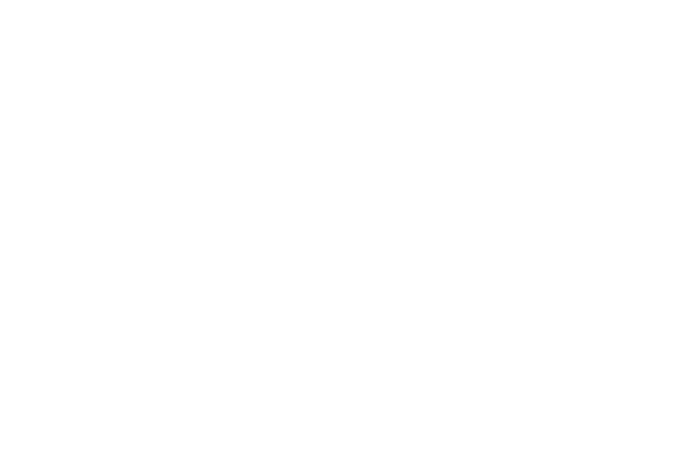 About A Dog Photography