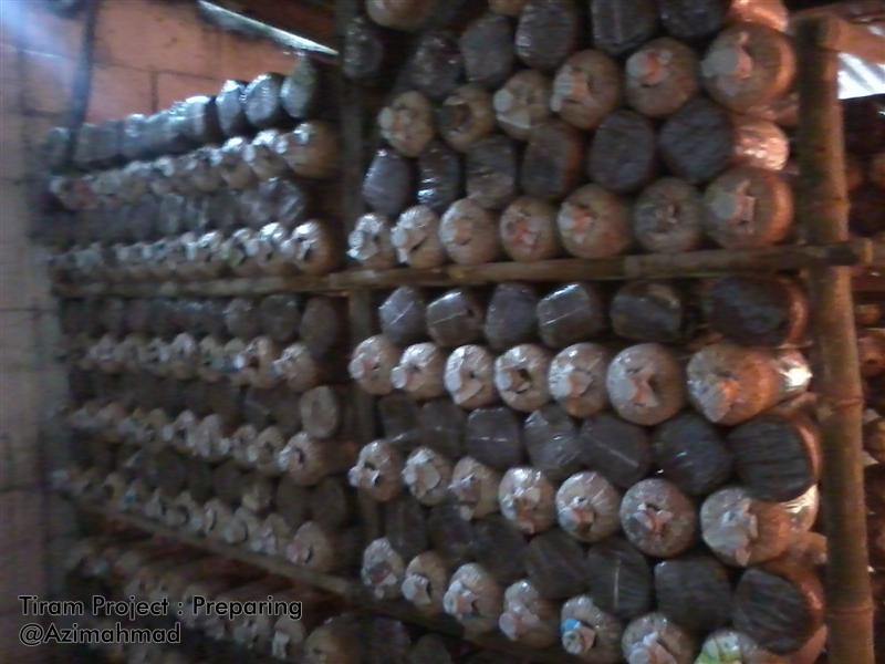 Budidaya Jamur Tiram 2 Day KaAzima