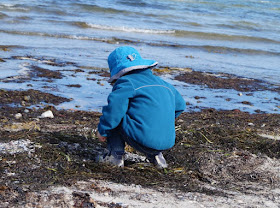 Der Strand von Wendtorf im Naturschutzgebiet Bottsand. Die Kinder sammel gerne Muscheln und Steine am Ufersaum.