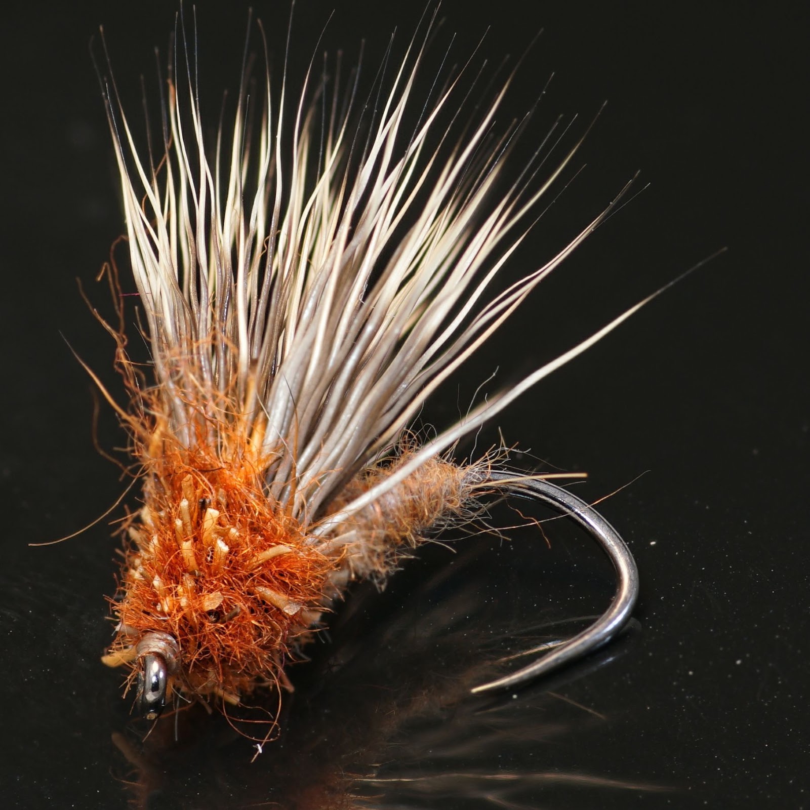The Streaking Caddis Fly Fish Food the-streaking-caddis-fly-fish-food