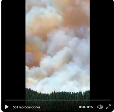Vídeo incendio forestal Artenara, cumbre Gran Canaria