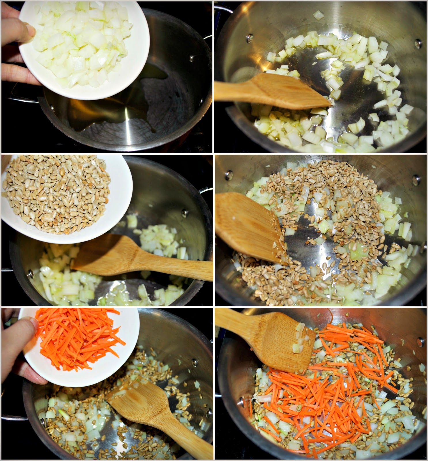 Sunflower Seed Soup...Our travels Wendake, Canada