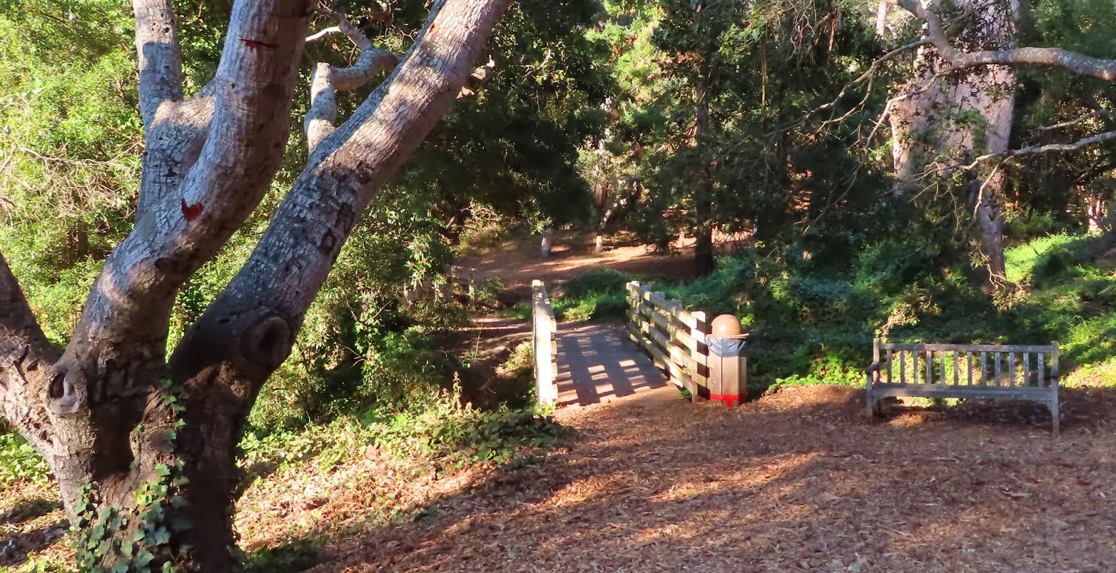 Carmel by the Sea Mission Ranch, Mission Trails Park, Mission Basilica