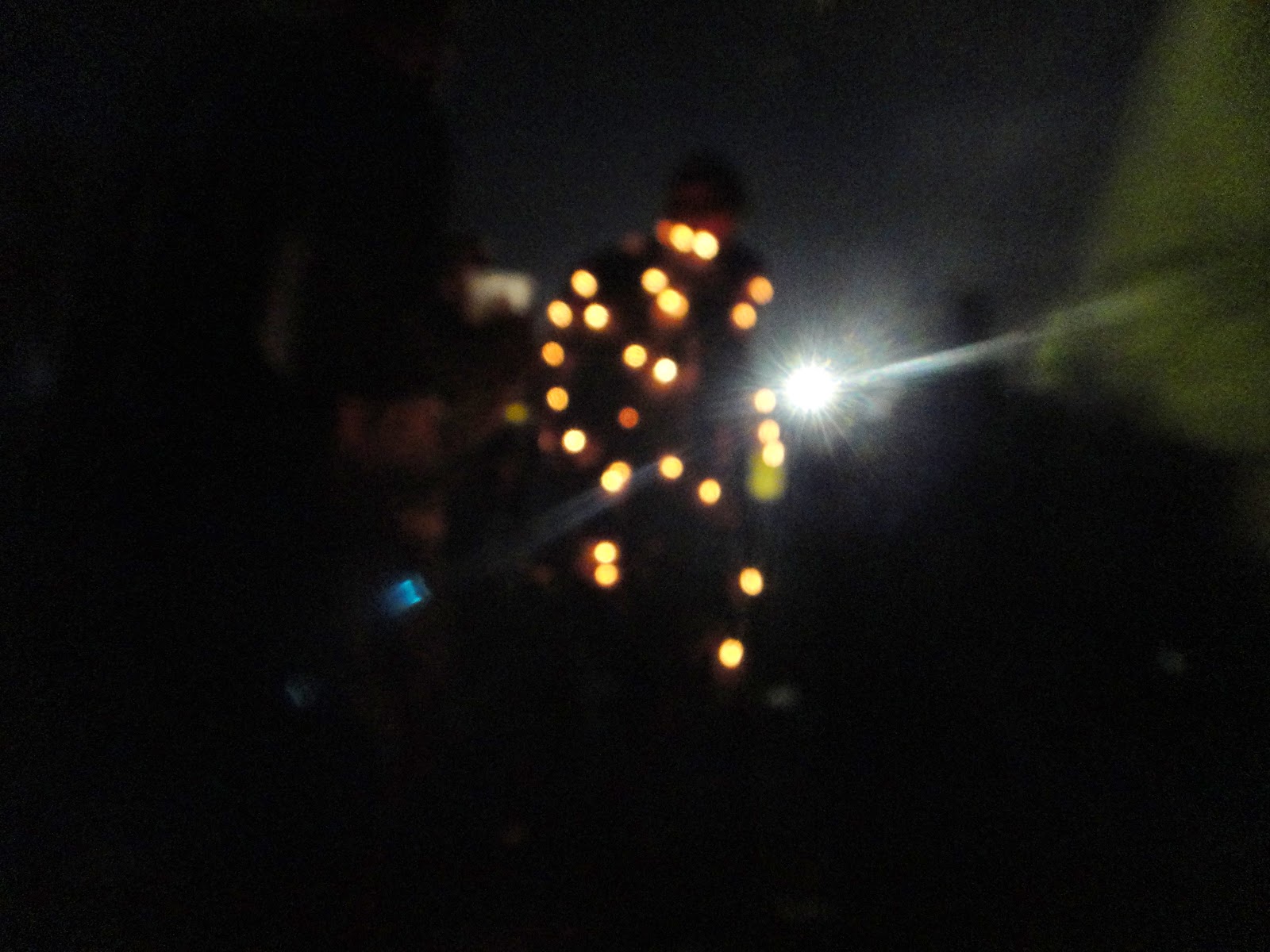 Christmas Light guy, Bonnaroo 2013