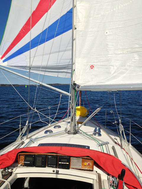 Scampi 30 Spinnaker