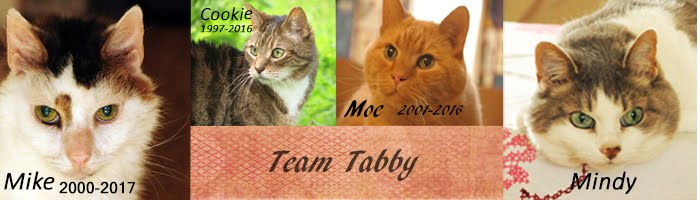 Team Tabby