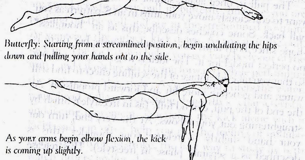 Latihan Renang Gaya Kupu Kupu Langkah Bugar