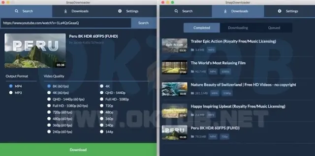 SnapDownloader SnapDownloader