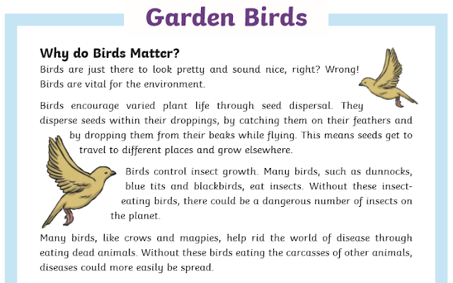 Willow Class: English and Maths 1 Monday