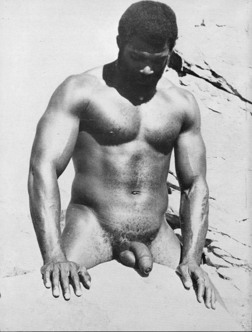 vint+nom+by+Shafter+de+Sierra+Domino+Stu