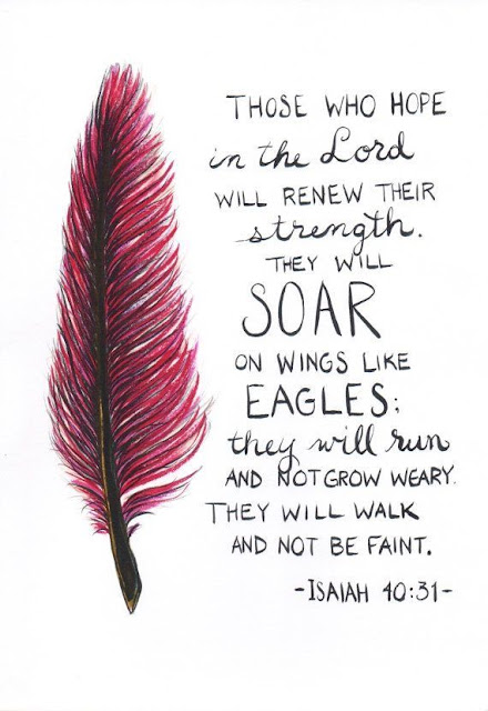   But those who hope in the Lord will renew their strength. They will soar on wings like eagles; they will run and not grow weary, they will walk and not be faint. 