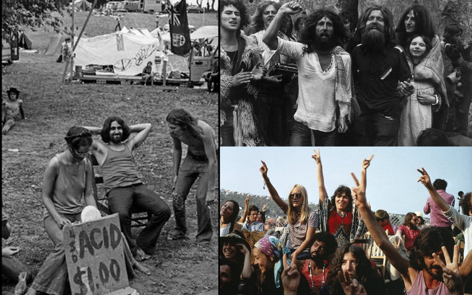 THE HIPPIES.