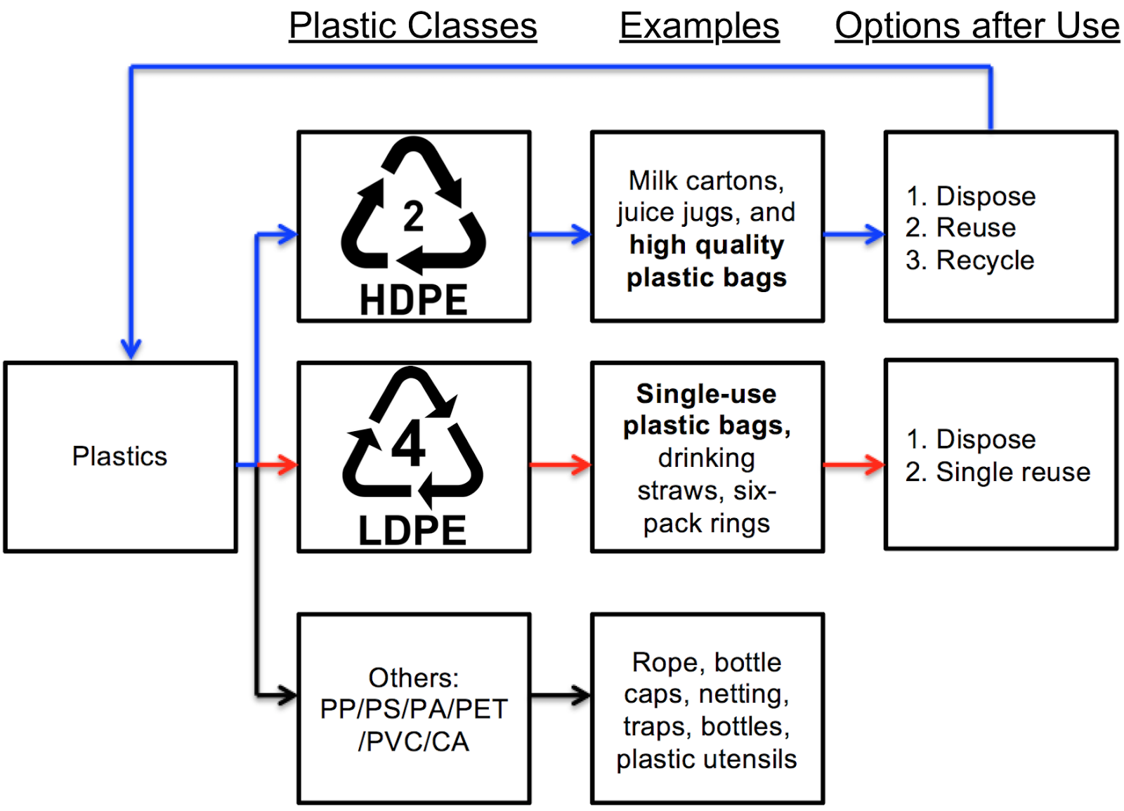 Life Cycle Of A Plastic Bag Infographic vrogue.co