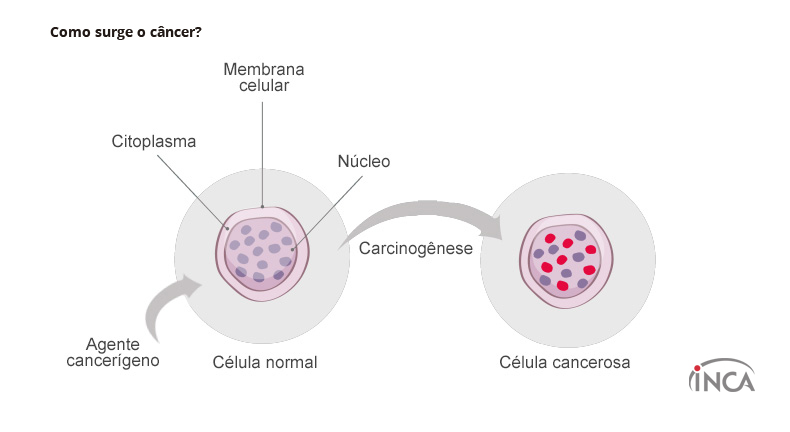 Como se cura un cancer