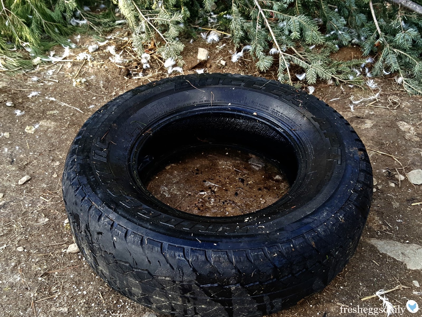 Keep your Duck Water from Freezing No Electricity Needed Fresh Eggs