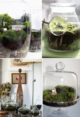 Ideas DIY : Terrarios