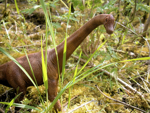 brontosaurus long necked dinosaur realisitc photo toy