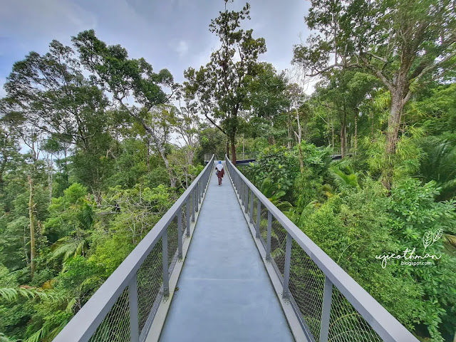 Langur Canopy Walk, The Habitat, Penang Hill