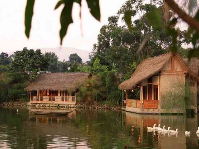 Sapu Lidi Resort 