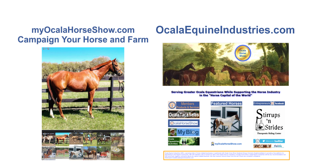 Ocala Equine Industries and Ocala Horse Show