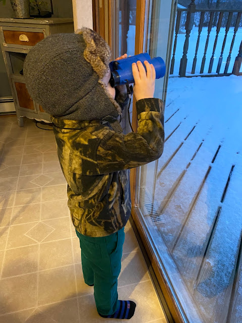 My Darling Days My Darling Days