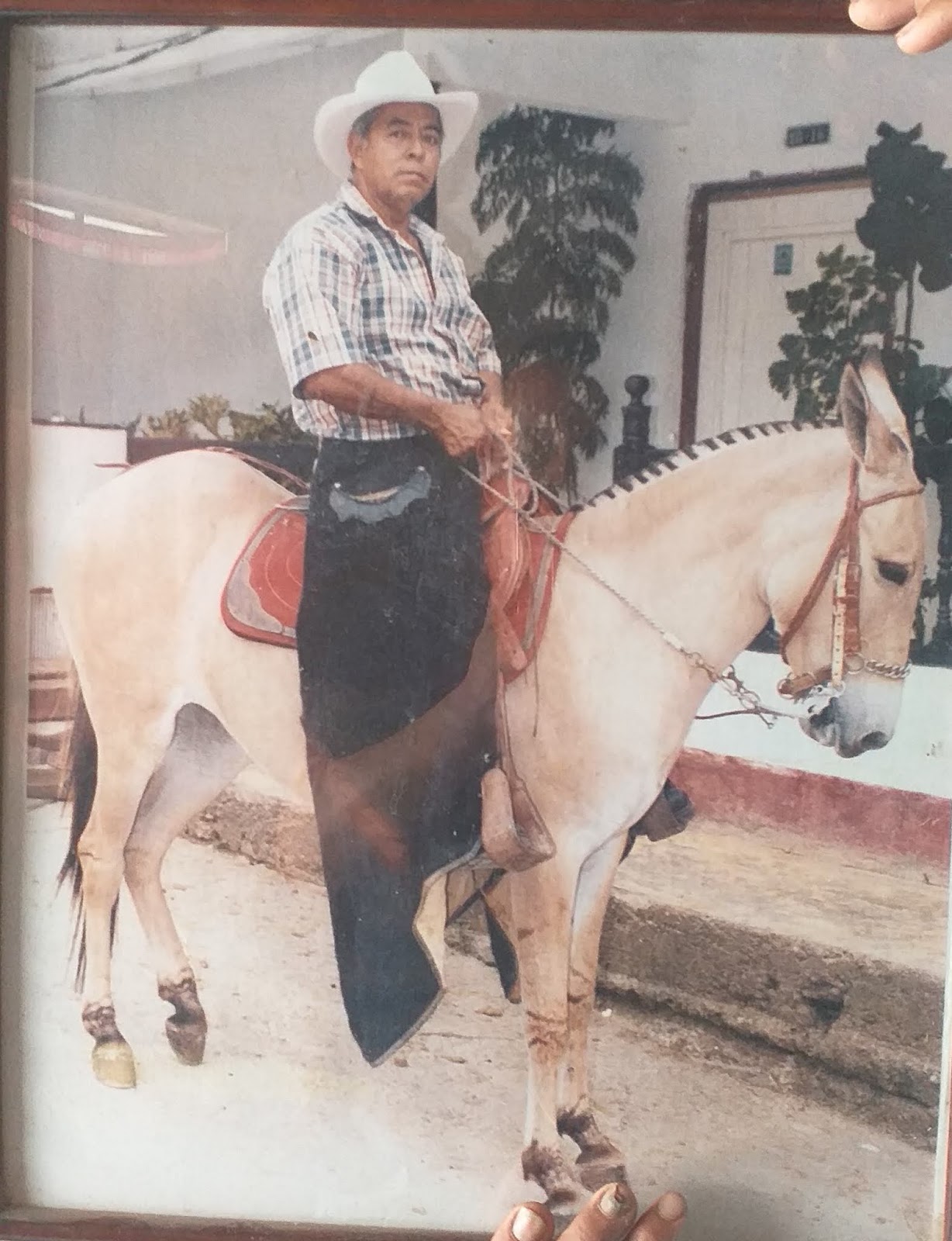 PEQUELEYENDAS PERSONAJES, RELATOS Y LEYENDAS DEL MUNICIPIO DE PEQUE