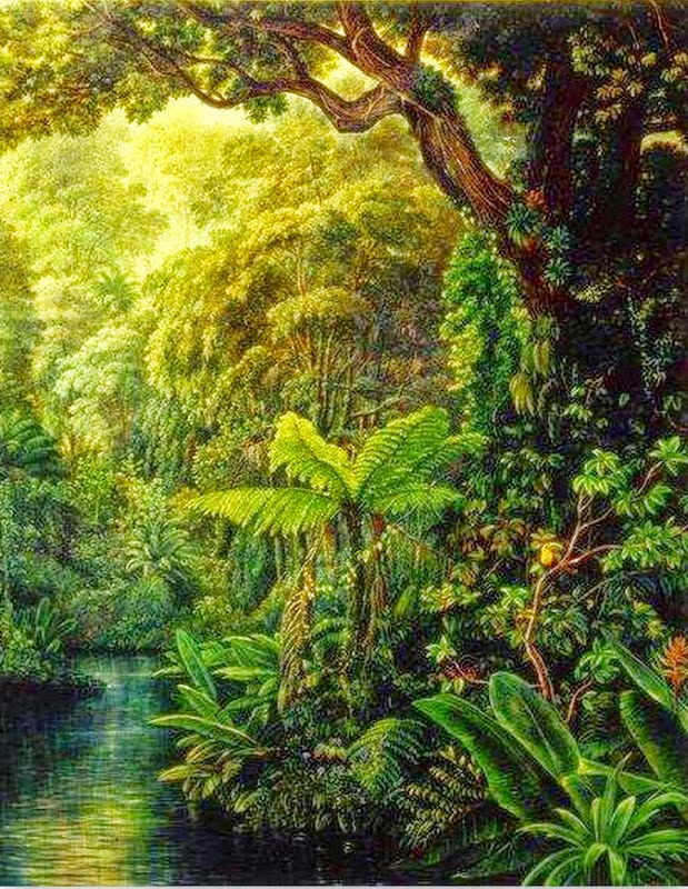 pinturas-de-selvas-naturales-de-centroamerica