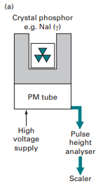 Free Biotechnology Notes