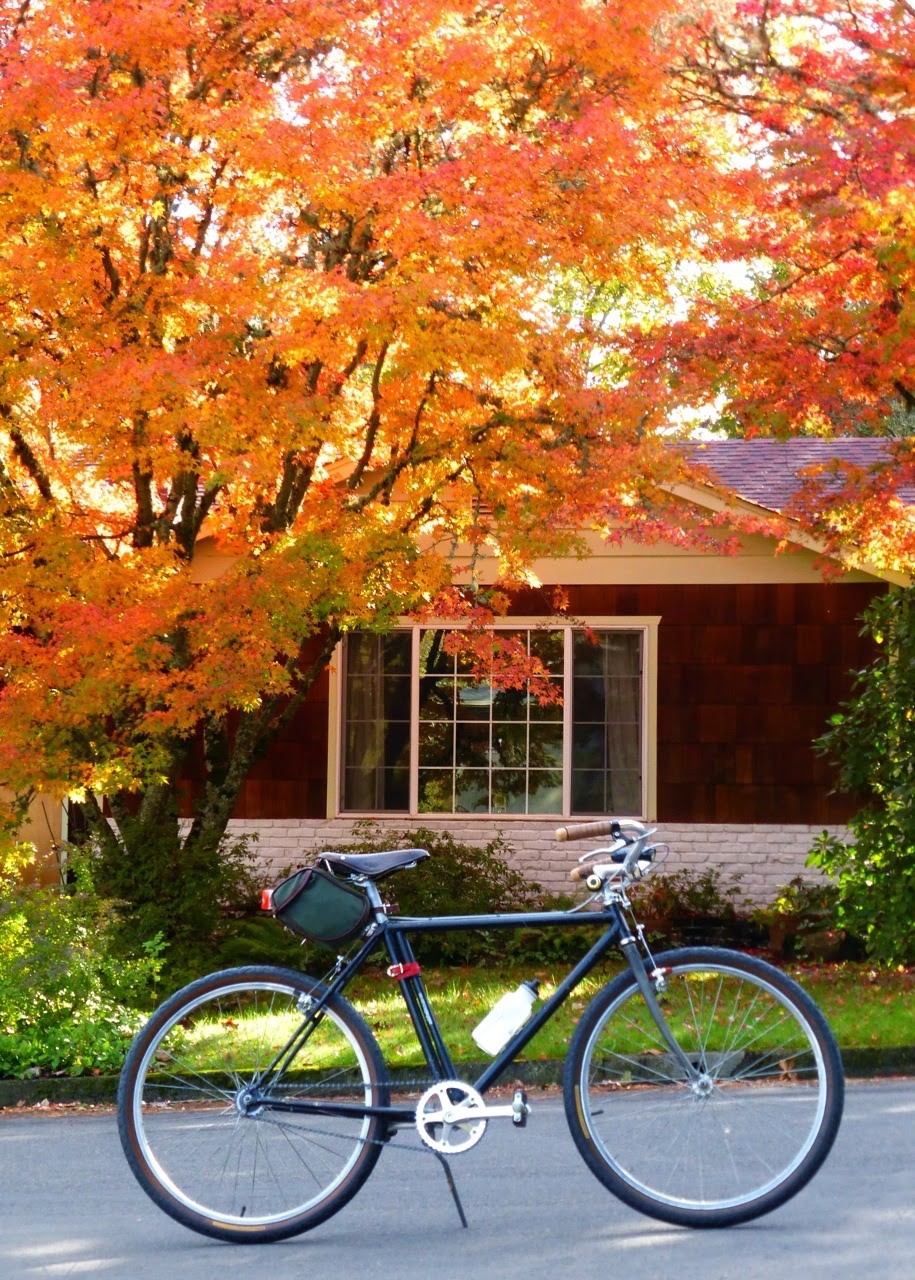 canvas saddle bag, leather saddle, autumn, fall color, Japanese maple, Eugene