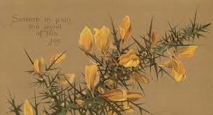 READY TO BE OFFERED: Lilias Trotter~A Life Lived for the Father's Glory