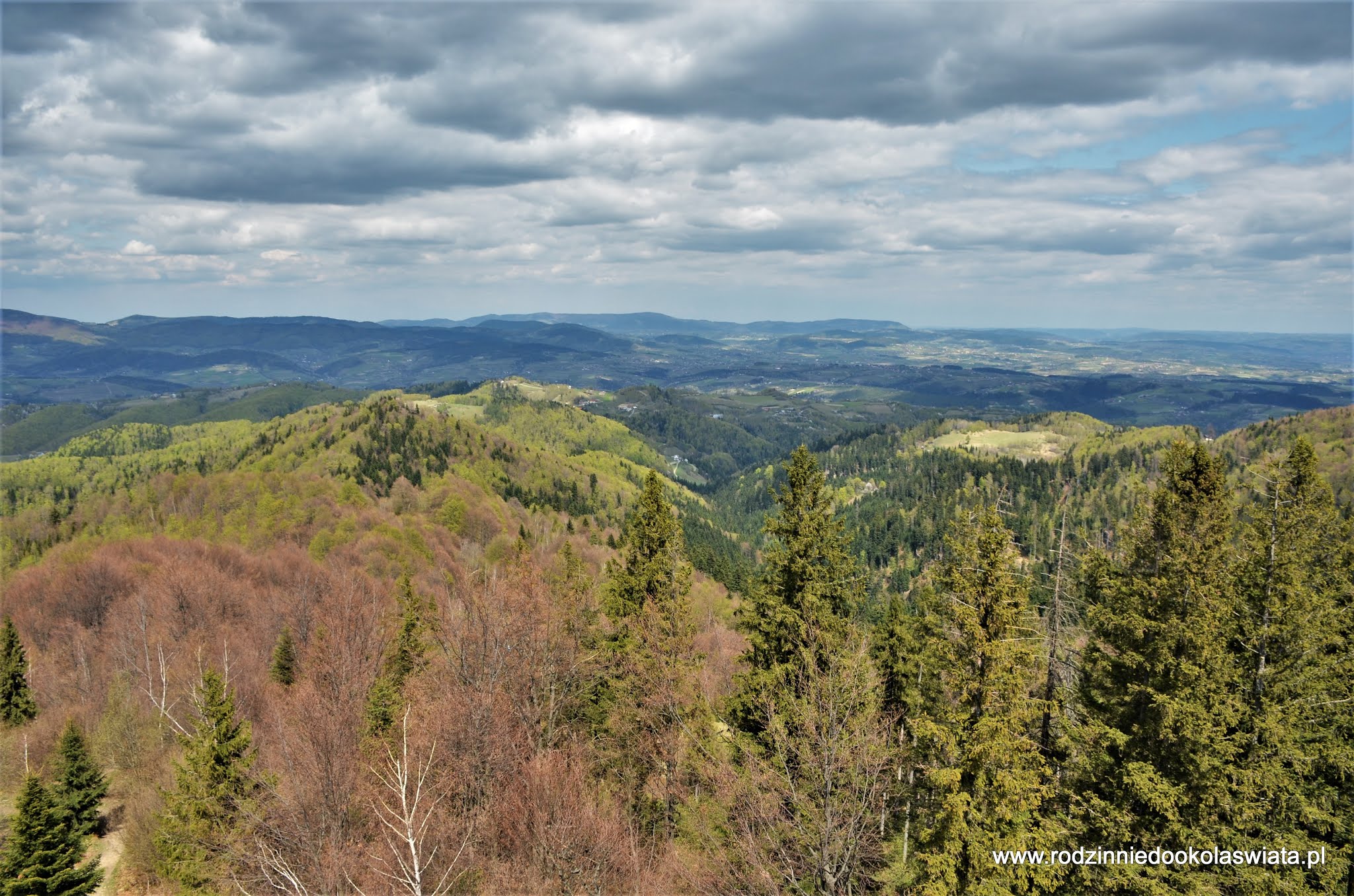 Wieża widokowa na Koziarzu Beskid Sądecki z dziećmi RODZINNIE