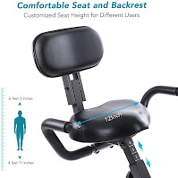 MaxKare 3-in-1 Exercise Bike's height-adjustable large padded seat with backrest, image