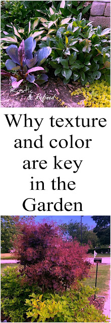 Why color and texture are important in the garden