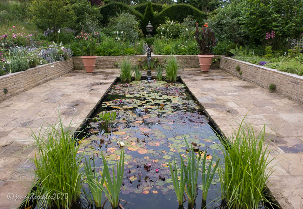Saltaire Daily Photo Lily ponds
