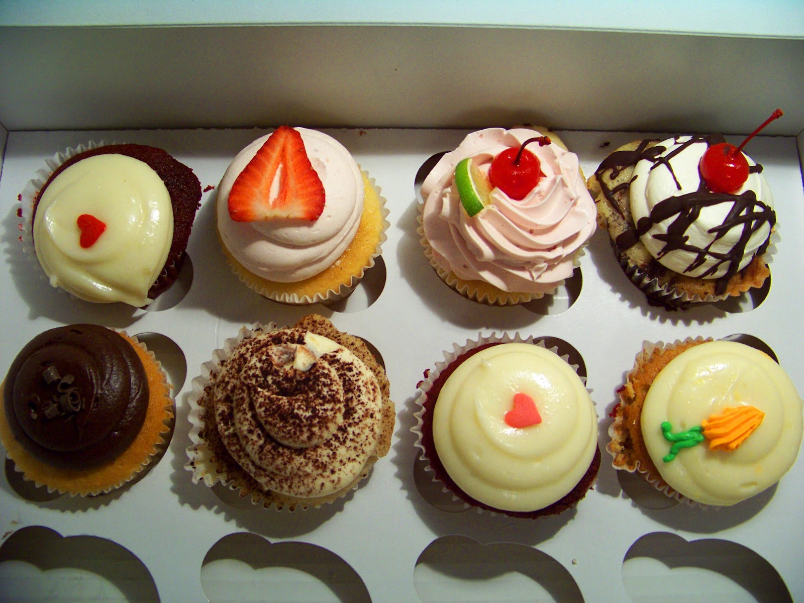 Extreme Cupcaker Bittersweet and artsy cupcakes