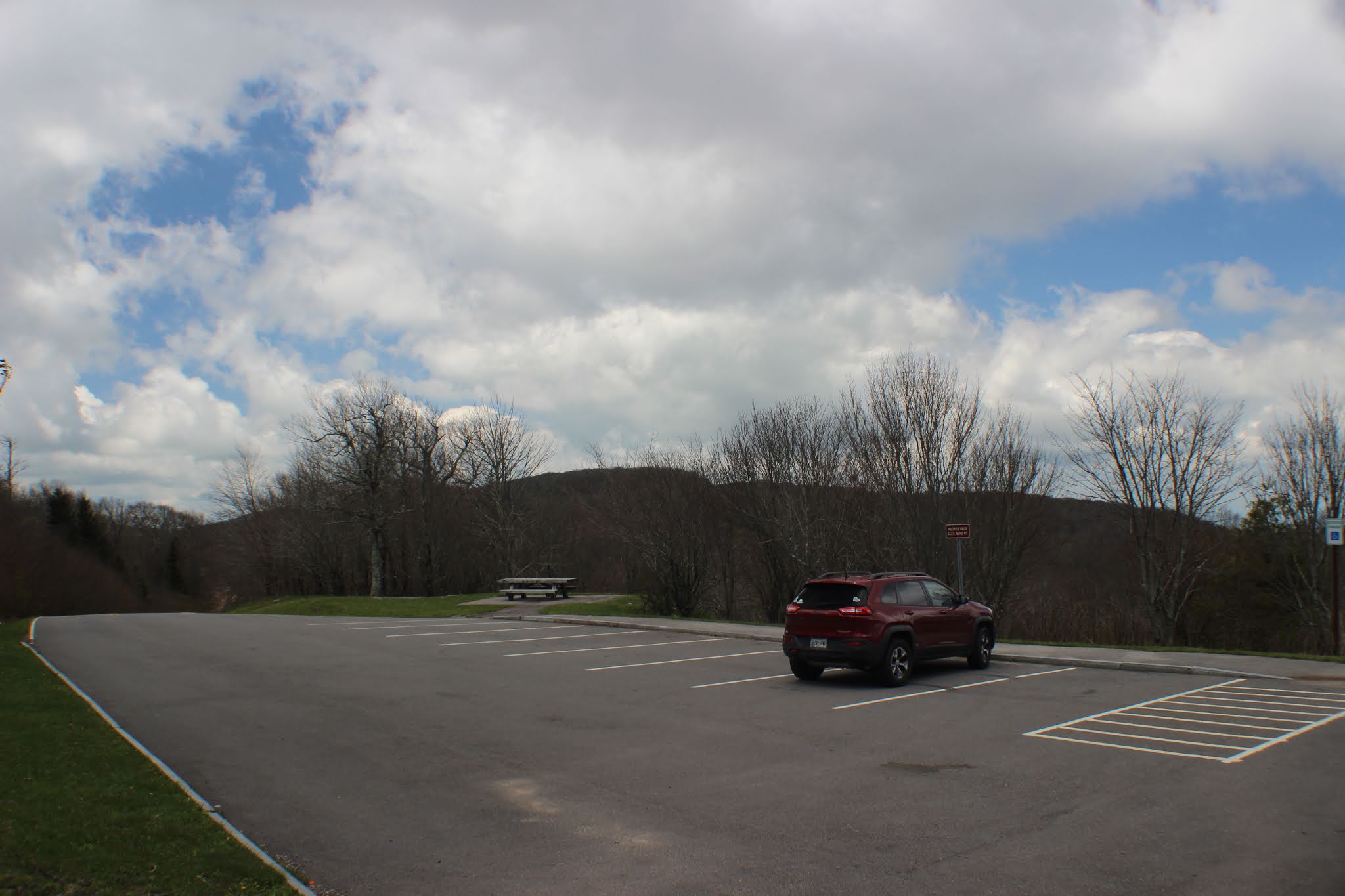 Cumberland Gal Cherohala Skyway Hiking Wildflowers & Falls Branch Falls