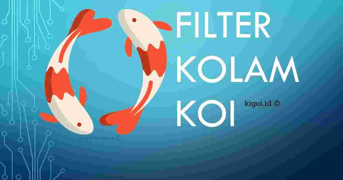 Murah Meriah Ini Urutan Media Filter Di Chamber Kolam Koi Kigoi