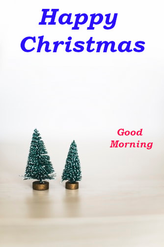 Good Morning Happy Christmas wishes 